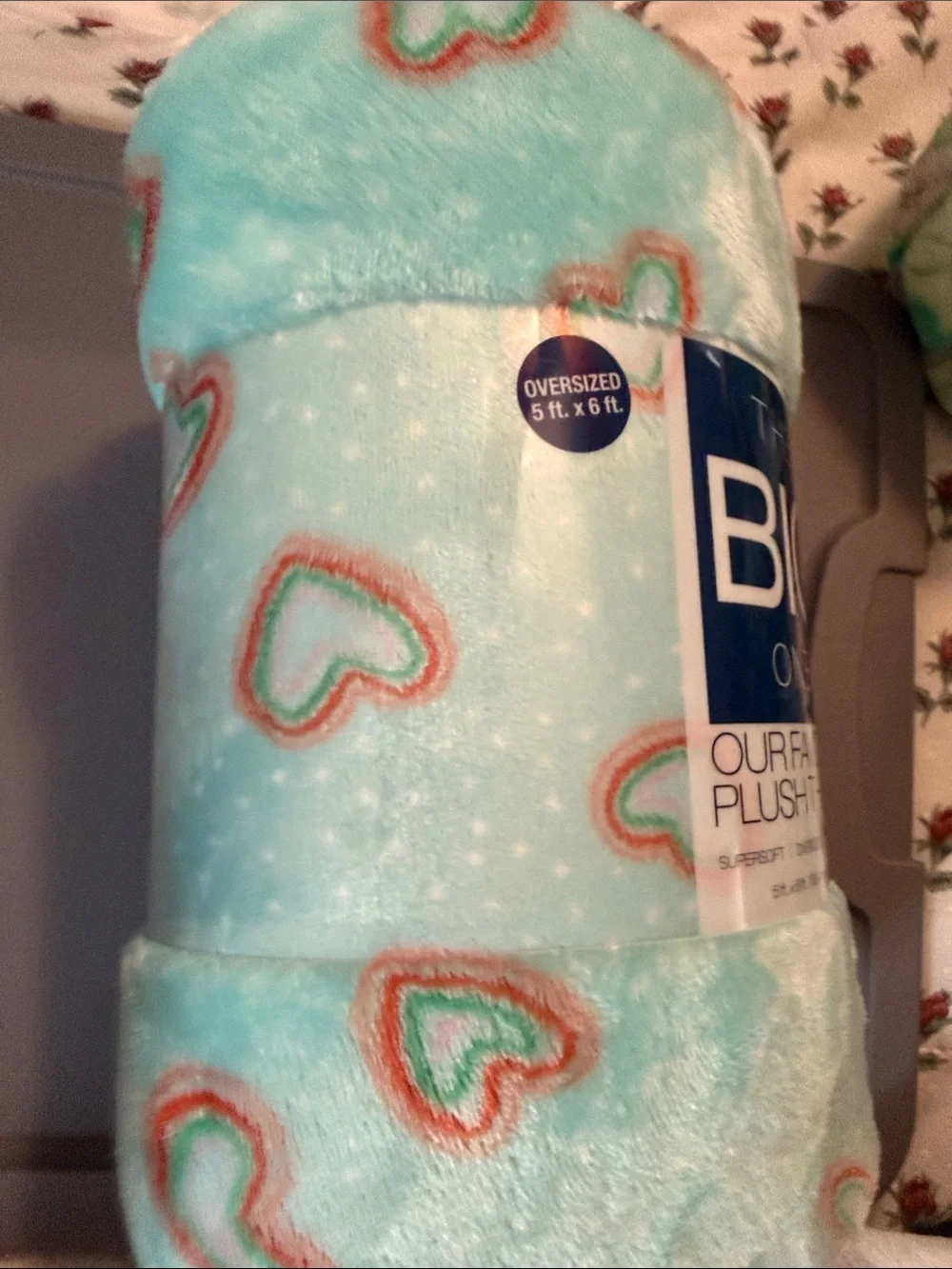 The Big One Plush Throw - Mint with Coral & White Hearts